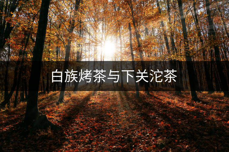 白族烤茶與下關沱茶 白族烤茶與下關沱茶