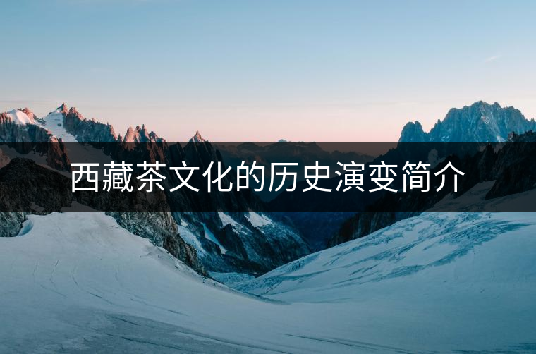 西藏茶文化的歷史演變簡介