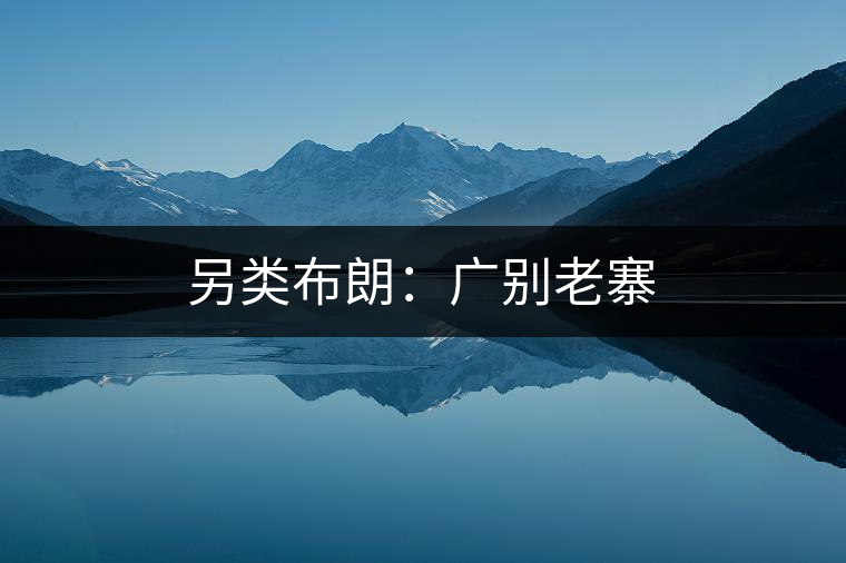 另類布朗：廣別老寨