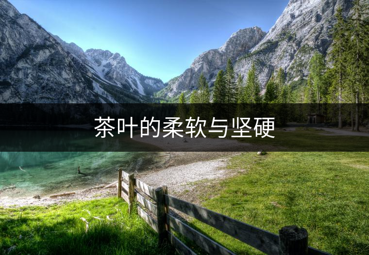 茶葉的柔軟與堅(jiān)硬 茶葉的柔軟與堅(jiān)硬