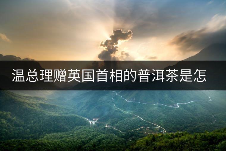 溫總理贈(zèng)英國首相的普洱茶是怎么制作的？