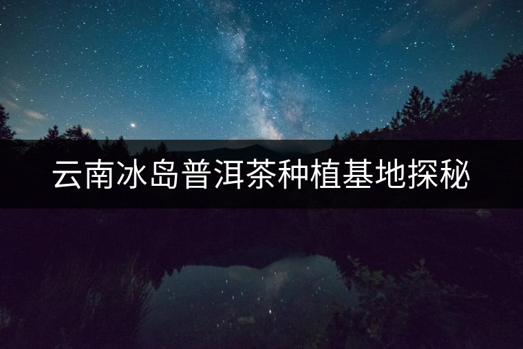 云南冰島普洱茶種植基地探秘 云南冰島普洱茶種植基地探秘