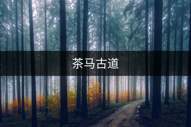 茶馬古道 茶馬古道