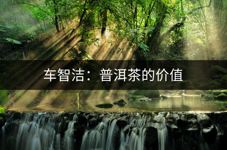 車(chē)智潔:普洱茶的價(jià)值 車(chē)智潔:普洱茶的價(jià)值