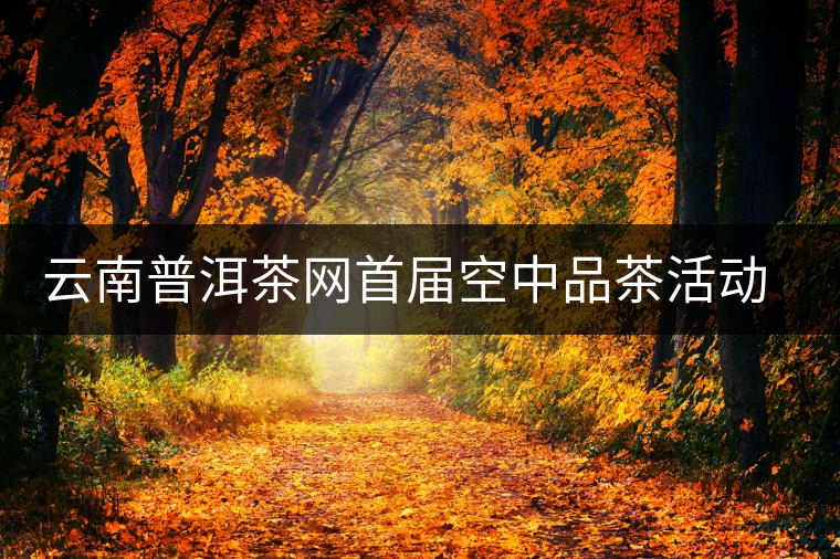 云南普洱茶網(wǎng)首屆空中品茶活動交流情況匯報(bào)