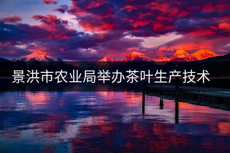 景洪市農(nóng)業(yè)局舉辦茶葉生產(chǎn)技術(shù)培訓 景洪市農(nóng)業(yè)局舉辦茶葉生產(chǎn)技術(shù)培訓