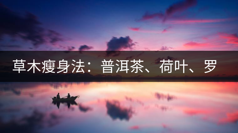 草木瘦身法：普洱茶、荷葉、羅漢果