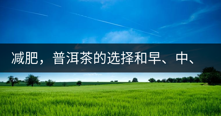 減肥，普洱茶的選擇和早、中、晚的喝法