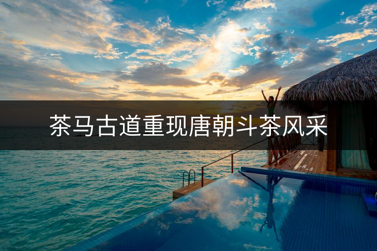 茶馬古道重現(xiàn)唐朝斗茶風(fēng)采 茶馬古道重現(xiàn)唐朝斗茶風(fēng)采