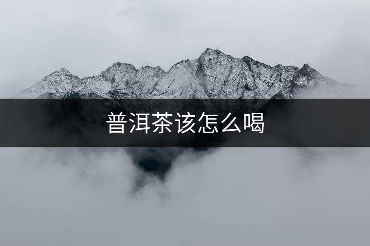 普洱茶該怎么喝 普洱茶該怎么喝