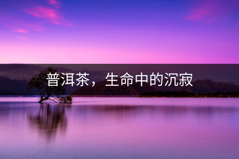 普洱茶，生命中的沉寂