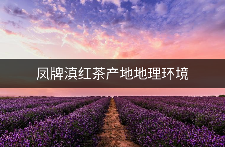 鳳牌滇紅茶產地地理環(huán)境 鳳牌滇紅茶產地地理環(huán)境