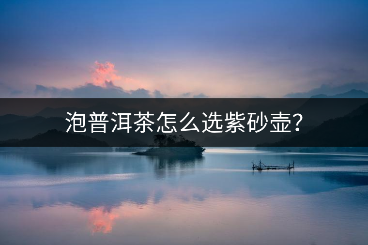 泡普洱茶怎么選紫砂壺？