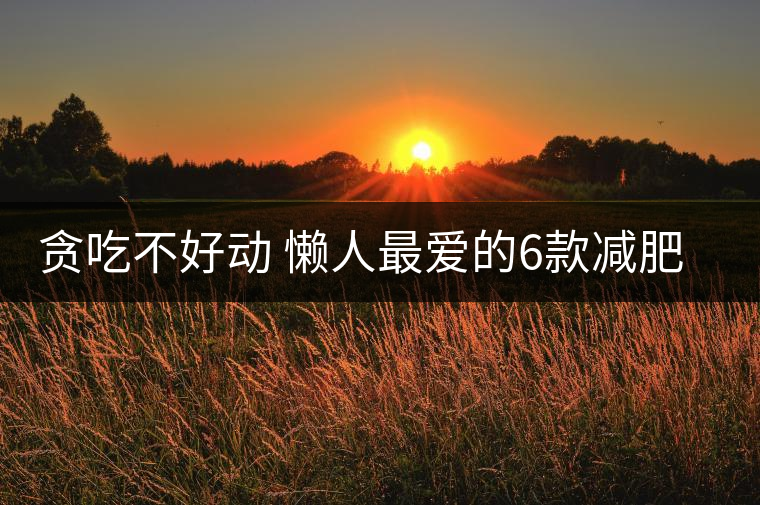 貪吃不好動 懶人最愛的6款減肥茶 貪吃不好動 懶人最愛的6款減肥茶