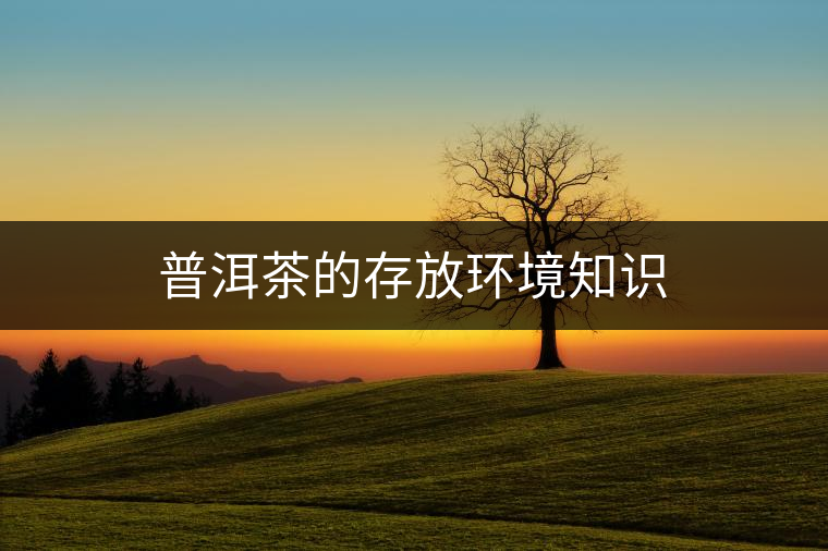 普洱茶的存放環(huán)境知識