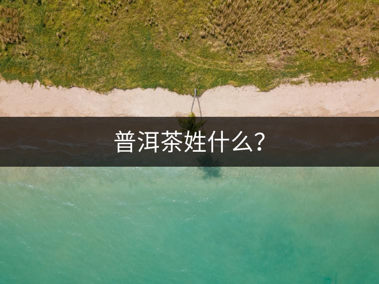 普洱茶姓什么？