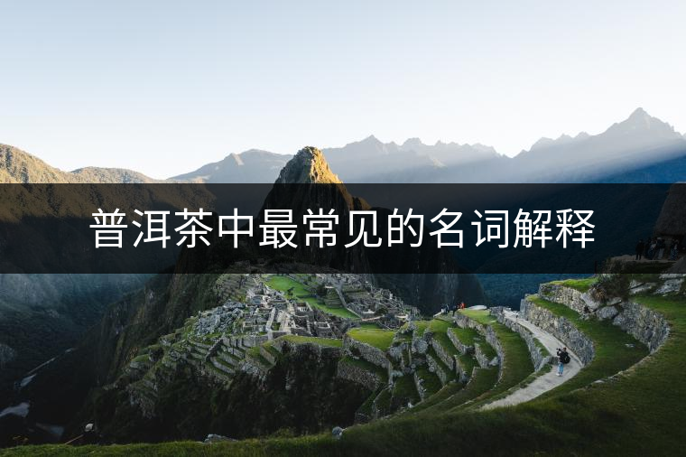普洱茶中最常見(jiàn)的名詞解釋 普洱茶中最常見(jiàn)的名詞解釋