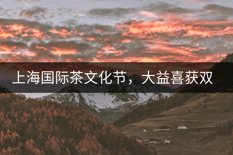 上海國際茶文化節(jié)，大益喜獲雙獎