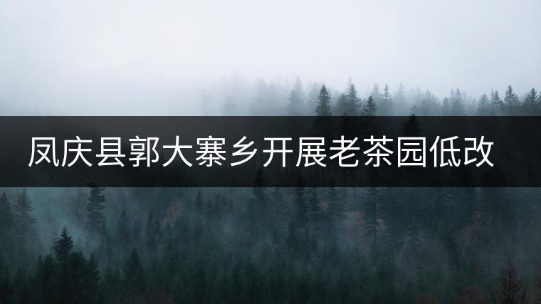 鳳慶縣郭大寨鄉(xiāng)開展老茶園低改促進(jìn)茶園提質(zhì)增效
