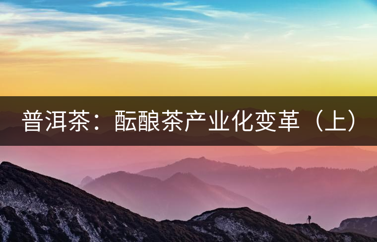 普洱茶:醞釀茶產業(yè)化變革(上) 普洱茶:醞釀茶產業(yè)化變革(上)