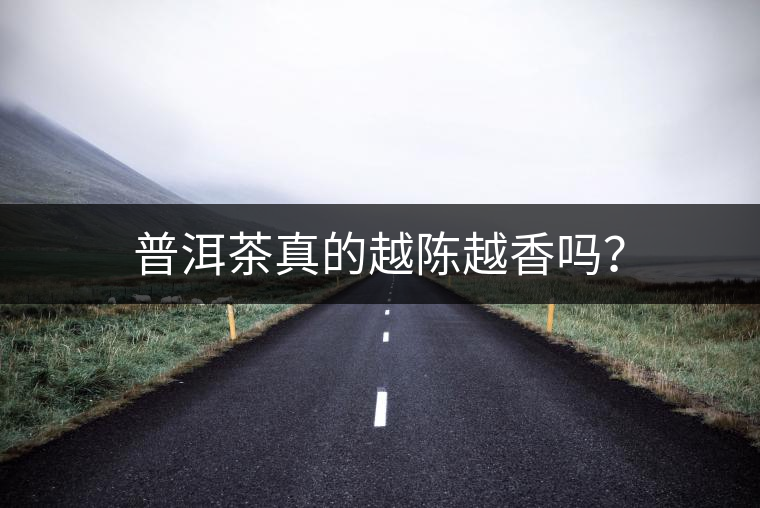 普洱茶真的越陳越香嗎？