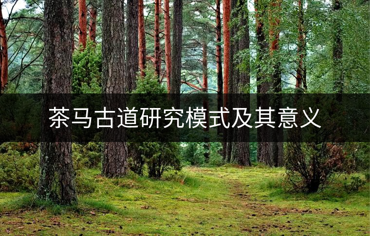 茶馬古道研究模式及其意義 茶馬古道研究模式及其意義