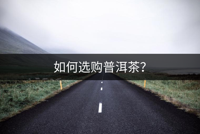 如何選購普洱茶？