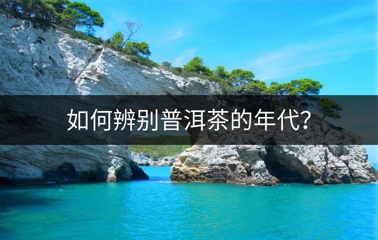 如何辨別普洱茶的年代？