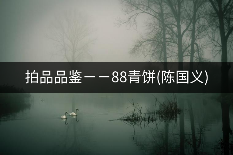 拍品品鑒--88青餅(陳國義) 拍品品鑒--88青餅(陳國義)