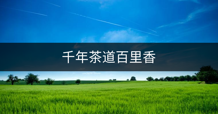 千年茶道百里香 千年茶道百里香
