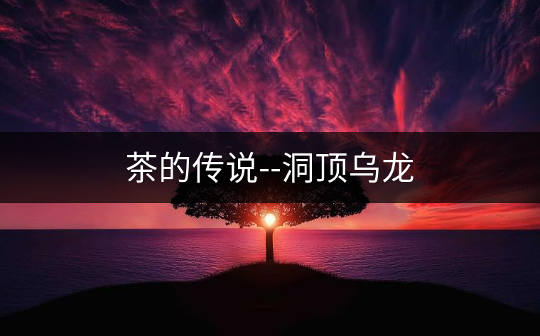 茶的傳說--洞頂烏龍 茶的傳說--洞頂烏龍