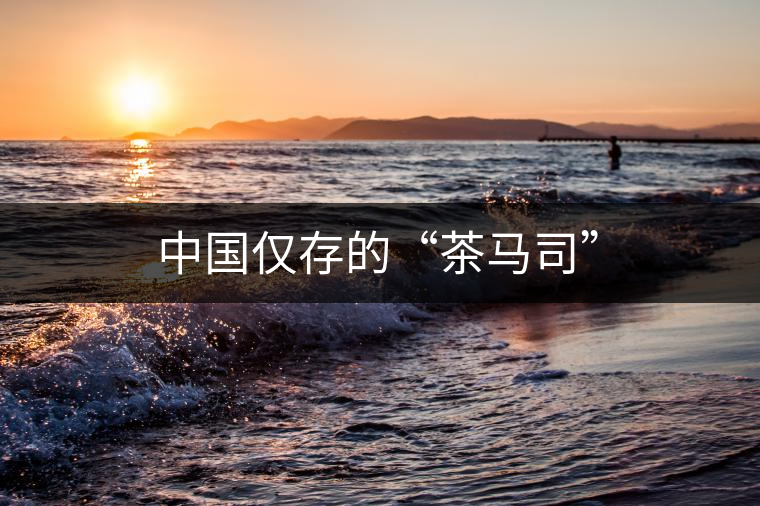 中國僅存的“茶馬司” 中國僅存的“茶馬司”