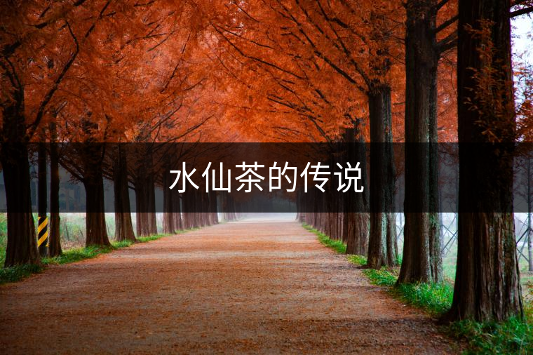 水仙茶的傳說(shuō) 水仙茶的傳說(shuō)