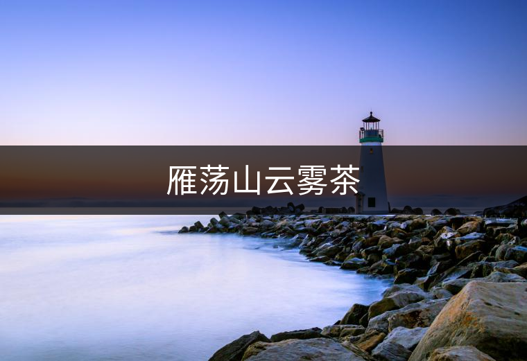 雁蕩山云霧茶 雁蕩山云霧茶