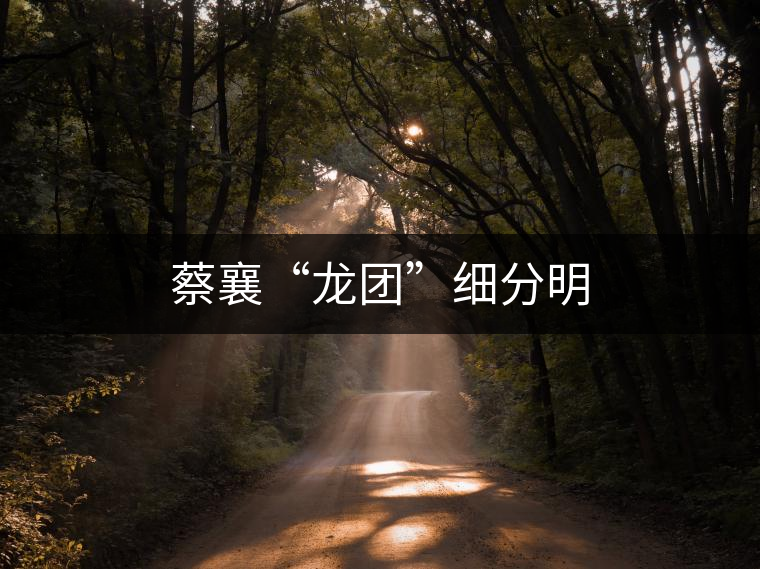 蔡襄“龍團”細(xì)分明 蔡襄“龍團”細(xì)分明