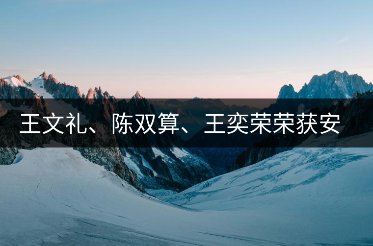 王文禮、陳雙算、王奕榮榮獲安溪茶界三杰