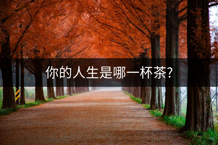 你的人生是哪一杯茶?