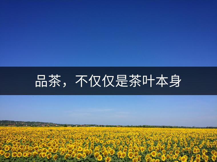 品茶，不僅僅是茶葉本身