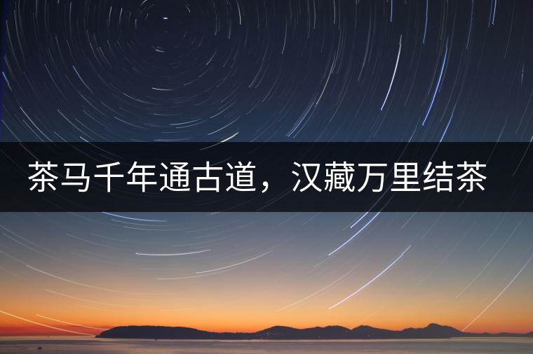 茶馬千年通古道，漢藏萬(wàn)里結(jié)茶緣