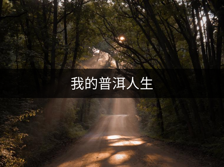 我的普洱人生 我的普洱人生