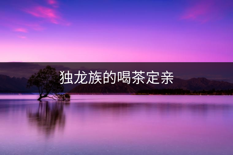 獨(dú)龍族的喝茶定親 獨(dú)龍族的喝茶定親