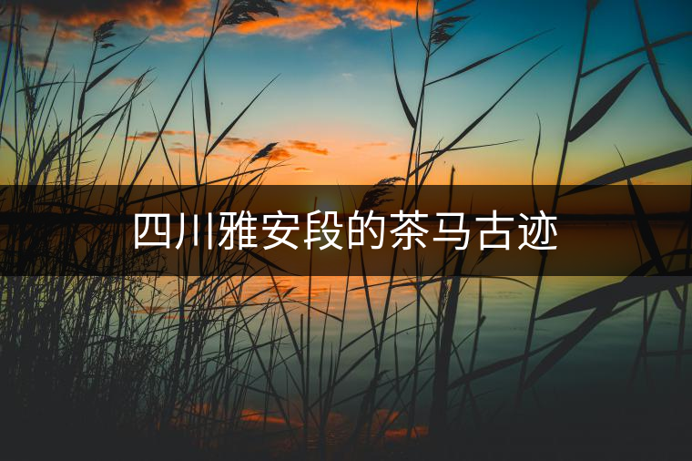 四川雅安段的茶馬古跡 四川雅安段的茶馬古跡