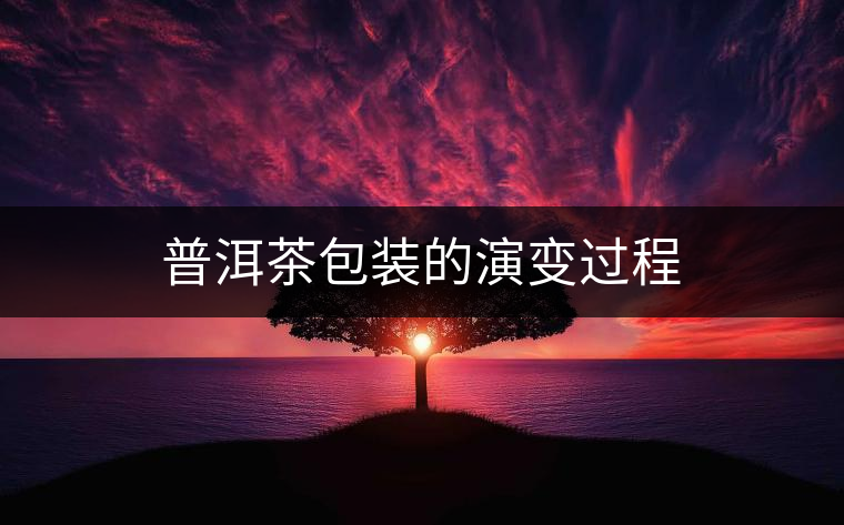 普洱茶包裝的演變過(guò)程 普洱茶包裝的演變過(guò)程