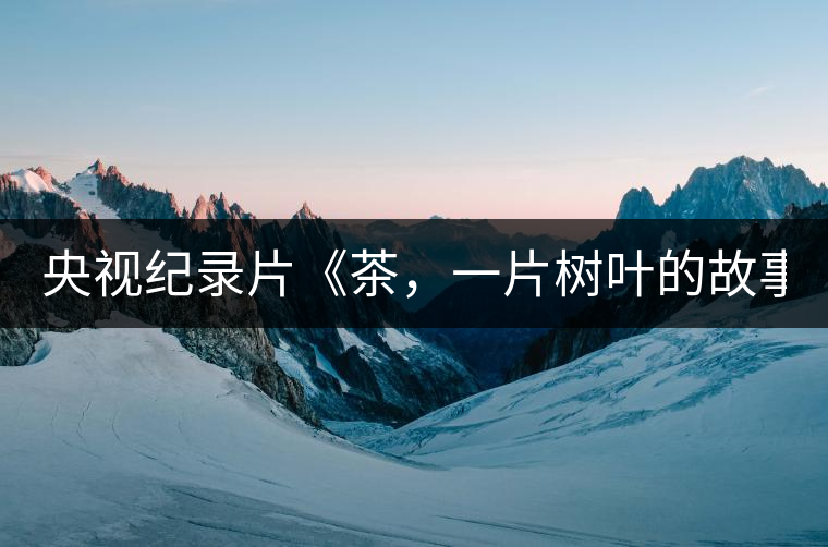 央視紀(jì)錄片《茶，一片樹葉的故事》紀(jì)錄片 昨晚開(kāi)播