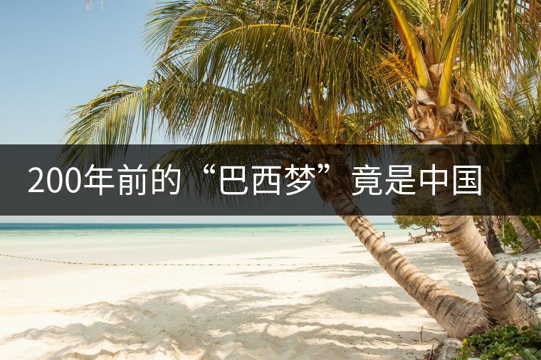 200年前的“巴西夢(mèng)”竟是中國茶