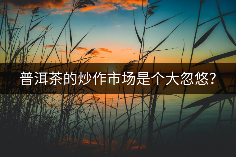 普洱茶的炒作市場是個大忽悠？