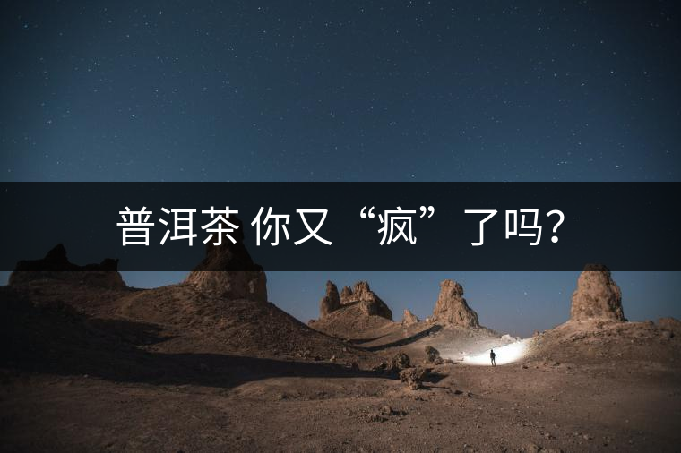 普洱茶 你又“瘋”了嗎？