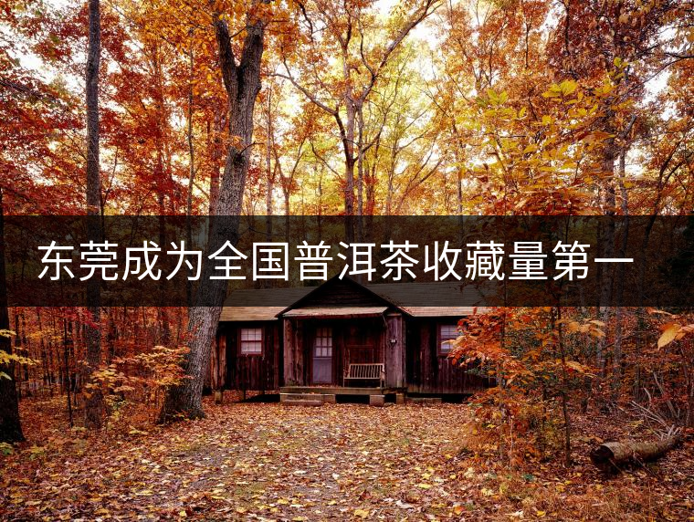 東莞成為全國普洱茶收藏量第一位的城市？