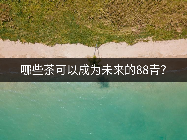 哪些茶可以成為未來的88青？