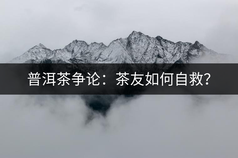 普洱茶爭論：茶友如何自救？